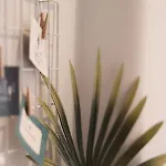 Funkey Nyaraló