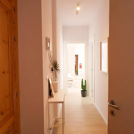 Funkey * Κατάνια